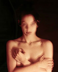 Image from the series Ilex Black