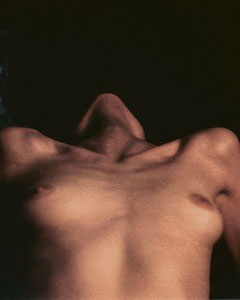 Image from the series Ilex Black