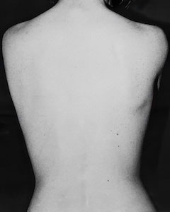 Image from the series Ilex White