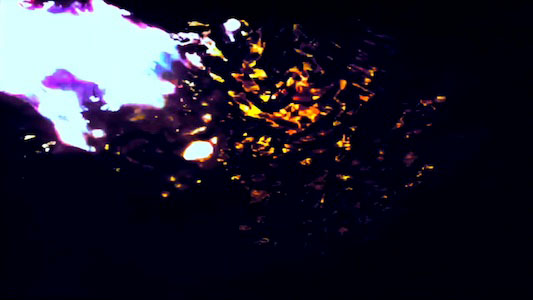 Stills from the video Recall Circuit