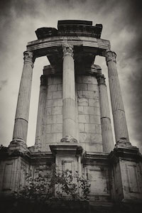 Image from the series Ilex White