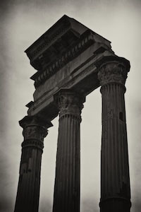 Image from the series Ilex White