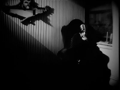 Image from the series Ilex White