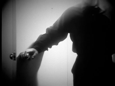 Image from the series Ilex White