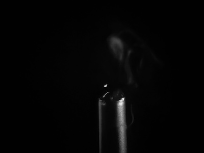 Image from the series Ilex White